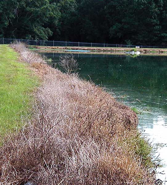 Aquatic Herbicide Application