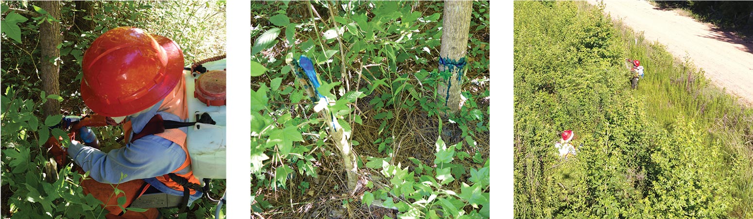 Man spraying industrial site and stacked pipes