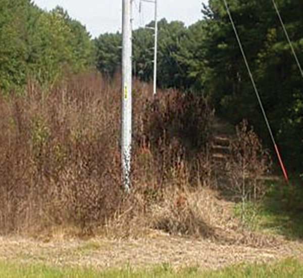 Vegetation Management of ROW